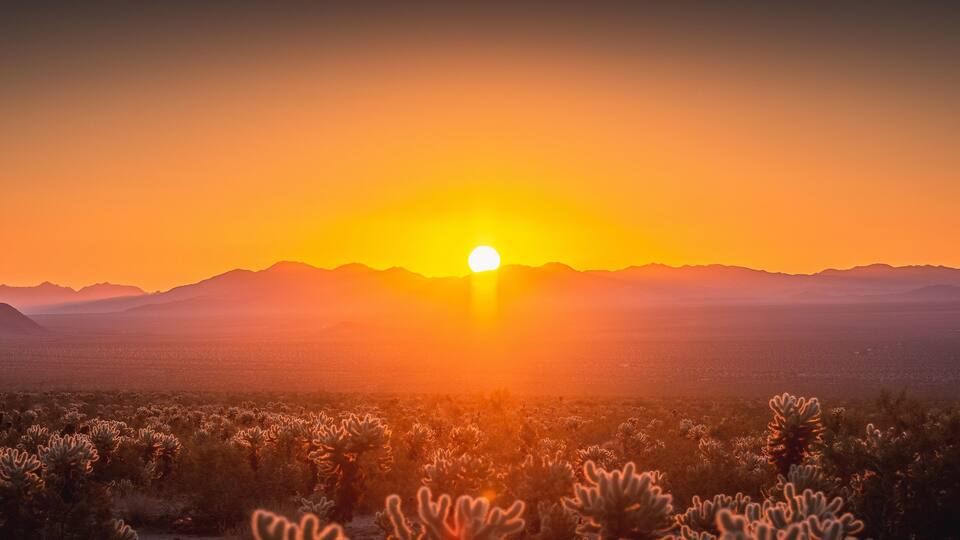 Sunrise over Joshua Tree