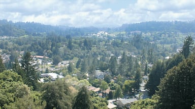 Bay Area showing landscape views, a small town or village and tranquil scenes