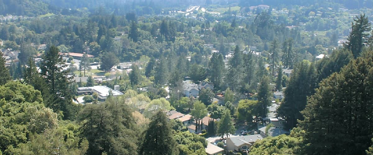 A residential area with houses surrounded by dense forest and hills in the background.
