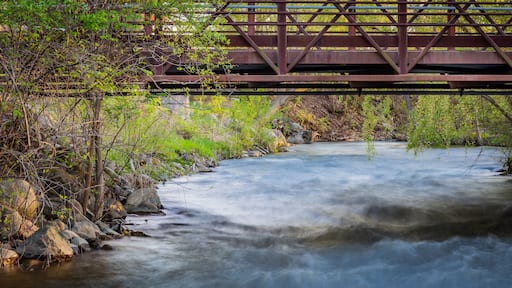 سترلينج هايتس