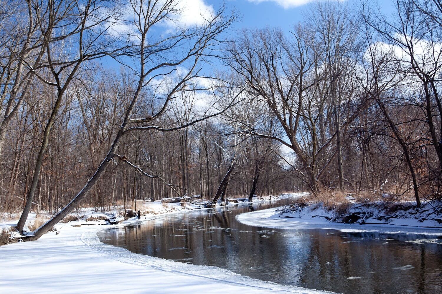 Winter landscape in Dodge Park.