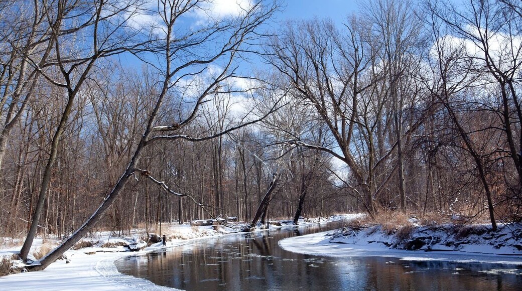 Winter landscape in Dodge Park.