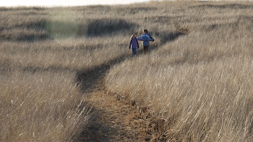 The massive sand dunes at the Long Beach