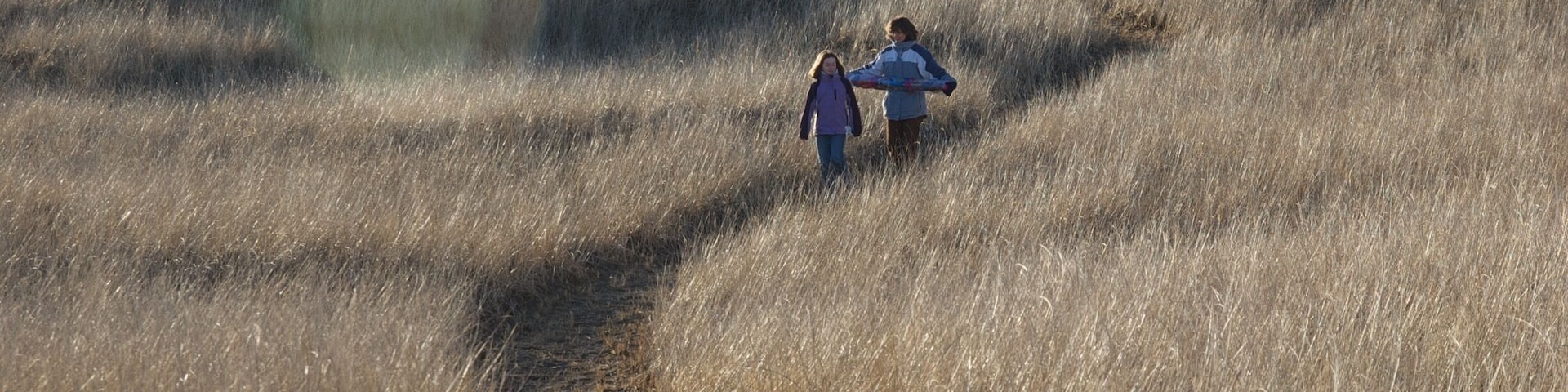 The massive sand dunes at the Long Beach