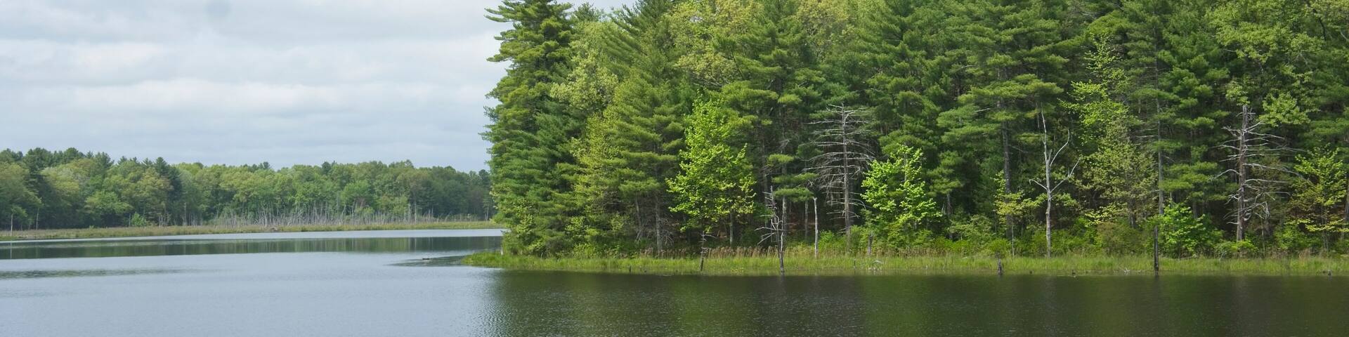 Puffin Pond at Assabet Wildlife Refuge in Sudbury, Massachusetts