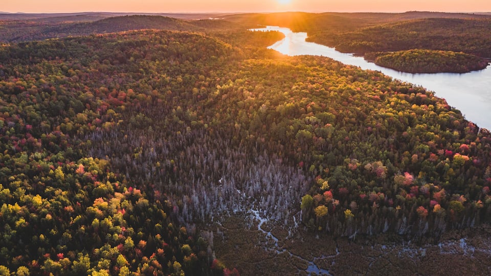 A river winding through a forested landscape with autumn foliage.