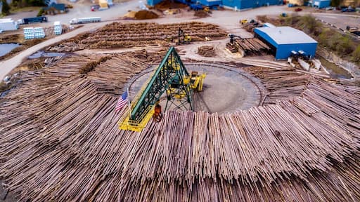 I never thought a pile of wood could be this photogenic.