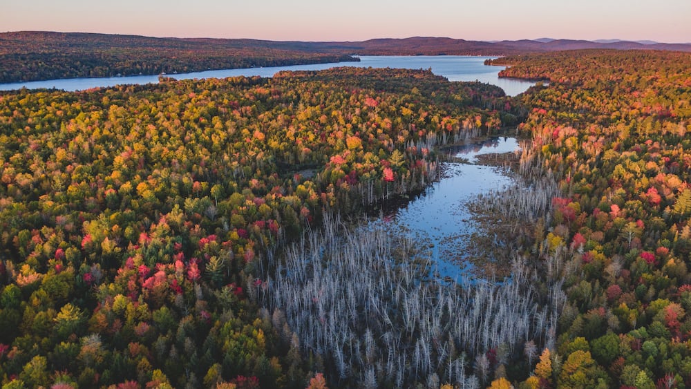Fall Foliage Sunrise In Maine