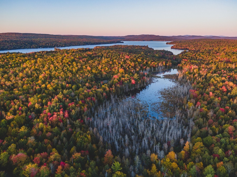 Fall Foliage Sunrise In Maine