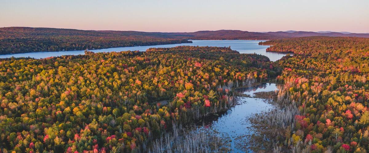 A forested landscape with a river and distant hills.