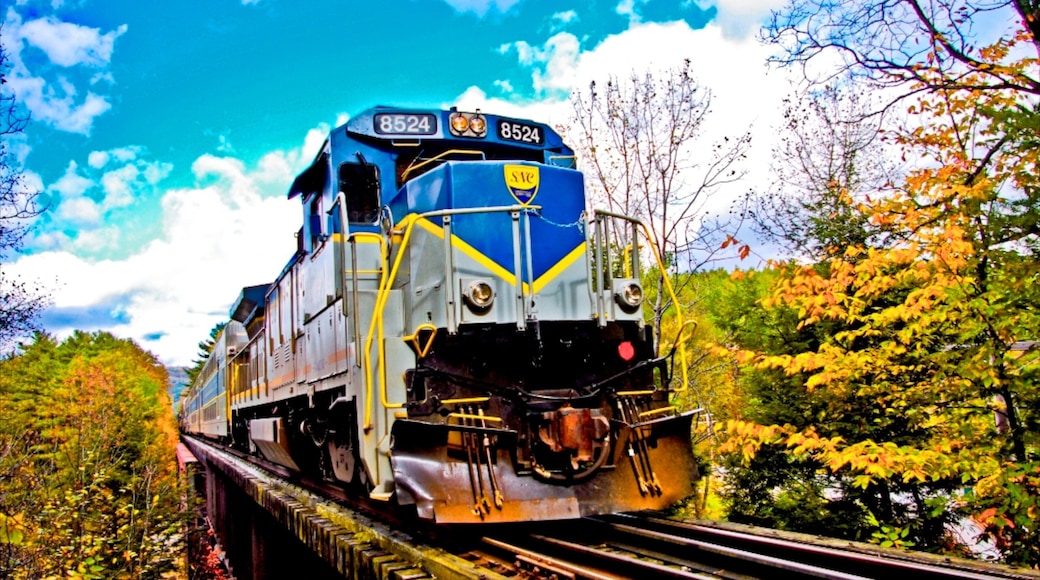 Saratoga Springs showing railway items