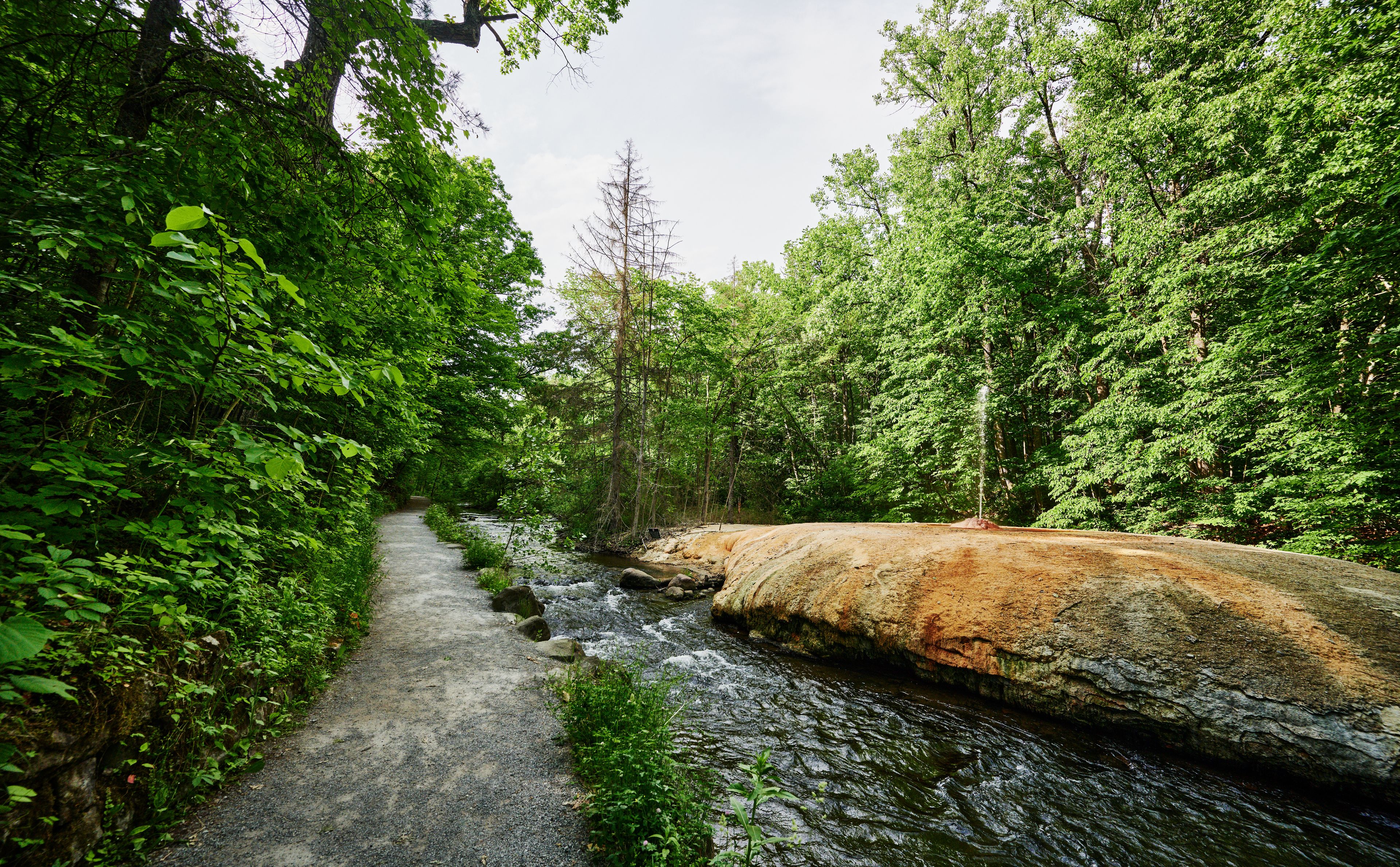 A forested path with a stream, surrounded by dense green foliage and a large rock formation.