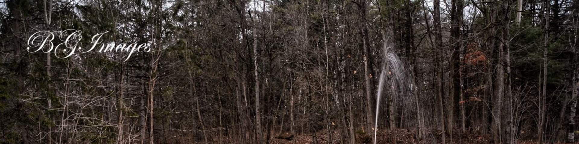 Spring hiking. Geyser Island Spouter. Make sure to bring some empty water bottles and fill them up along the trail where there are a few spouters you can collect the spring water from. #nature #hiking #waterlust #colorful #longexposure #explore #landscape #lovemytown #nyc #I❤️NY #NikonD7100 #Manfratto tripod