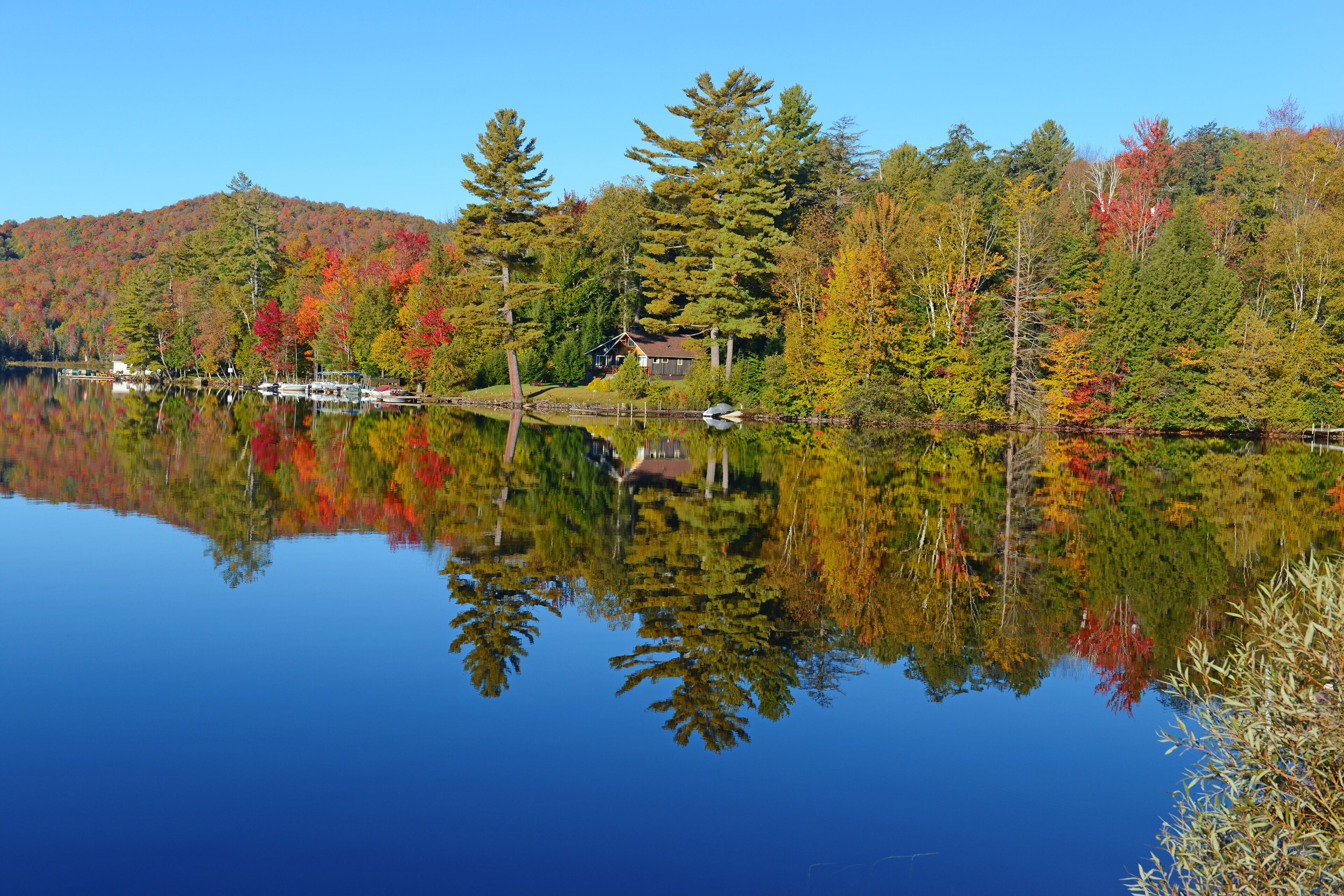 A calm lake with reflections of trees and a cabin.