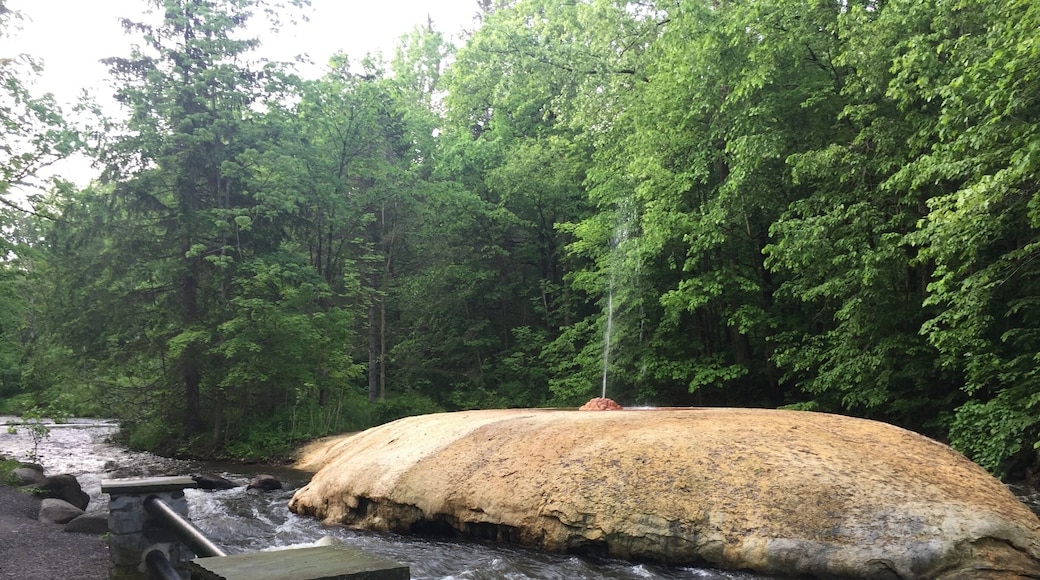 The natural fountain in the Saratoga springs. The water is rich in minerals like iron and sulphur which is deposited and that accounts to the naturally formed porous rock. The hues in the rock are due to the different minerals from the spring water. With green covered trails and soothing water from the creek it was a refreshing sight for me to cherish forever.