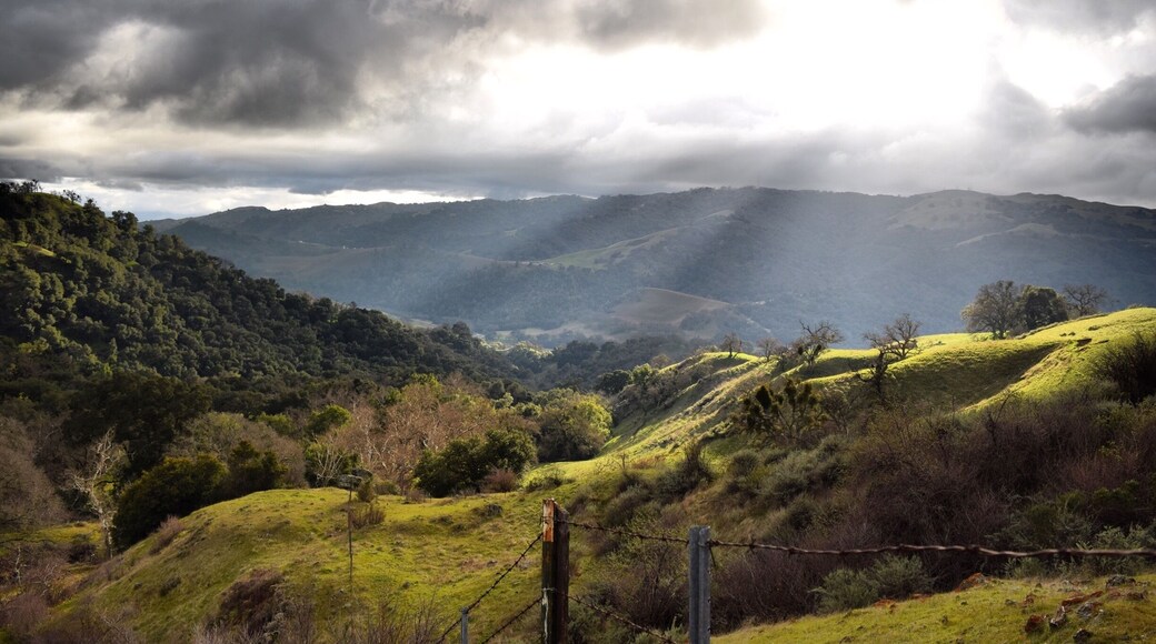 "Hope is a ray of sunshine breaking through the clouds after a storm. Faith is knowing there are more where that one came from."
This is the view from the top of the Indian Joe Creek Trail, trail post 24, just north of the Cave Rocks.
#hikingtrails #hiking #wilderness