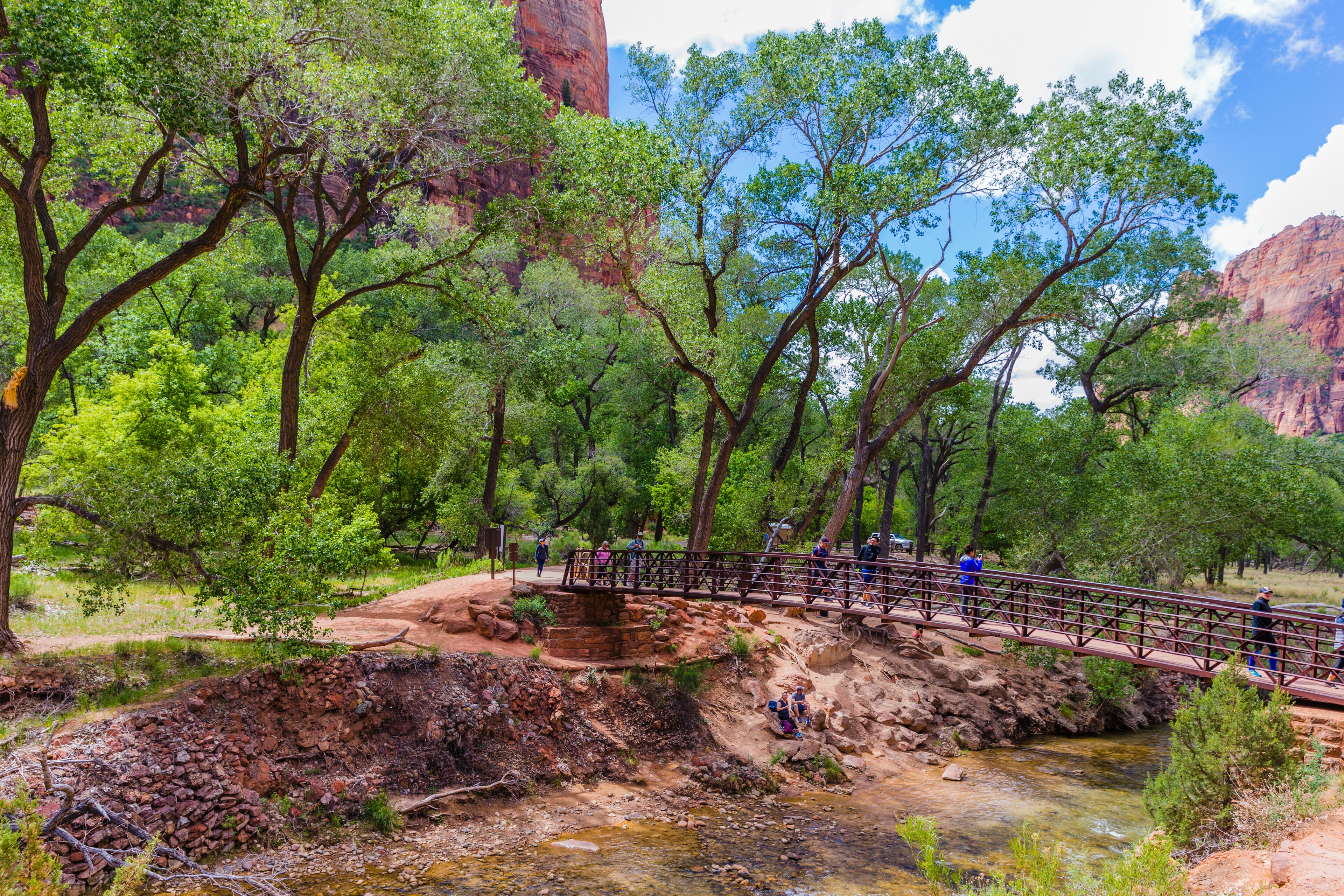 Un puente de madera cruza un río, rodeado de árboles verdes y terreno rocoso.