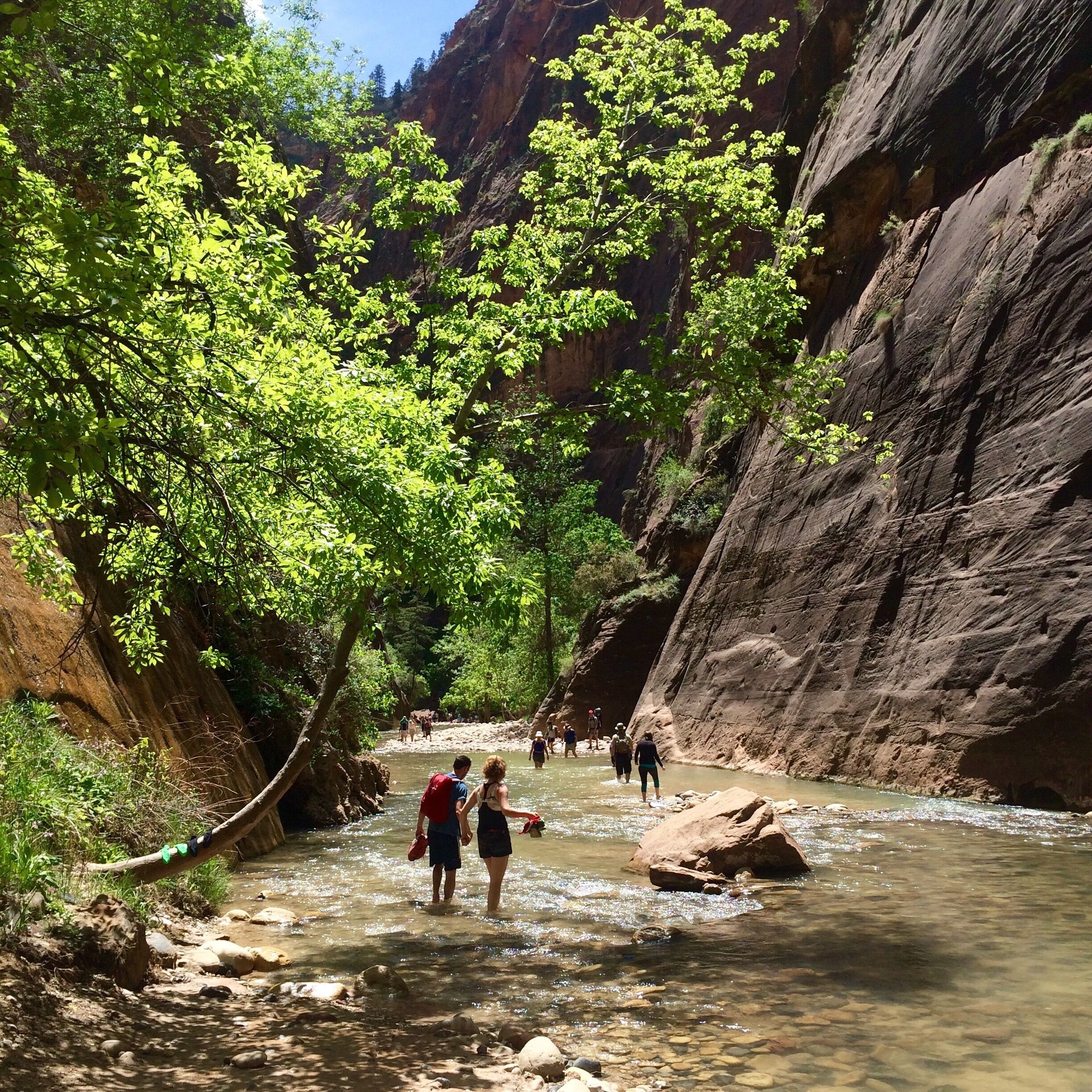 Temple of Sinawava at Zion  #NationalPark. #hiking