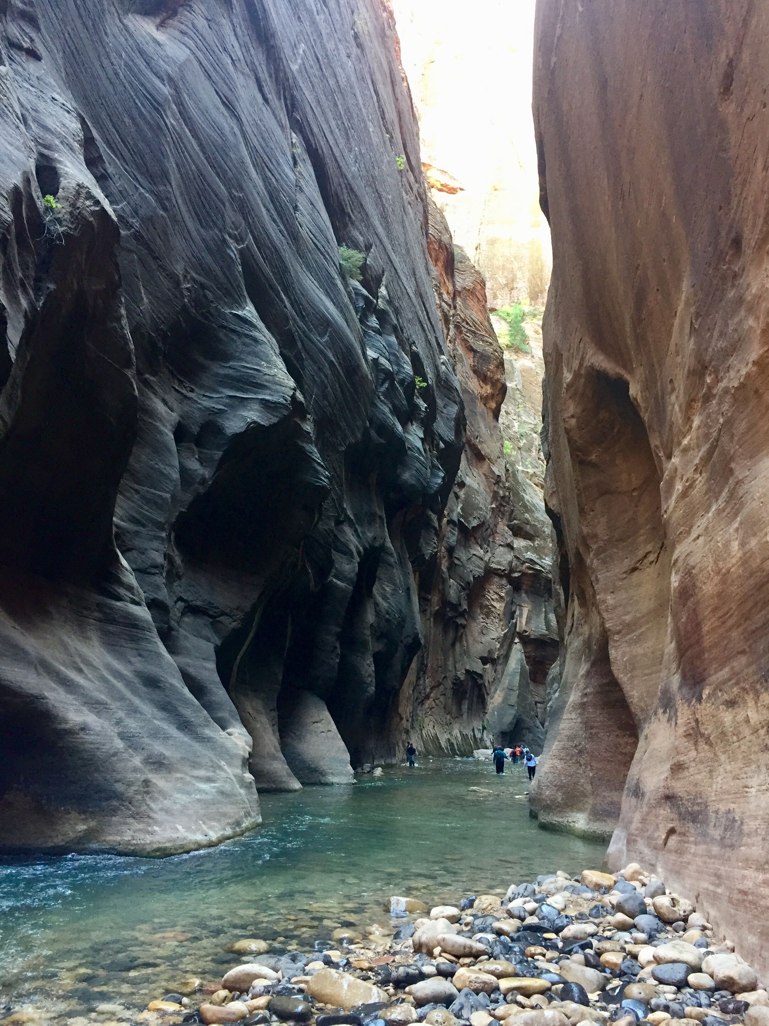 such cool landscapes!