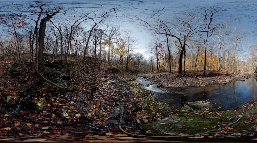 Lower Mill Creek, Gladwyne, Montgomery County, Pennsylvania, United States