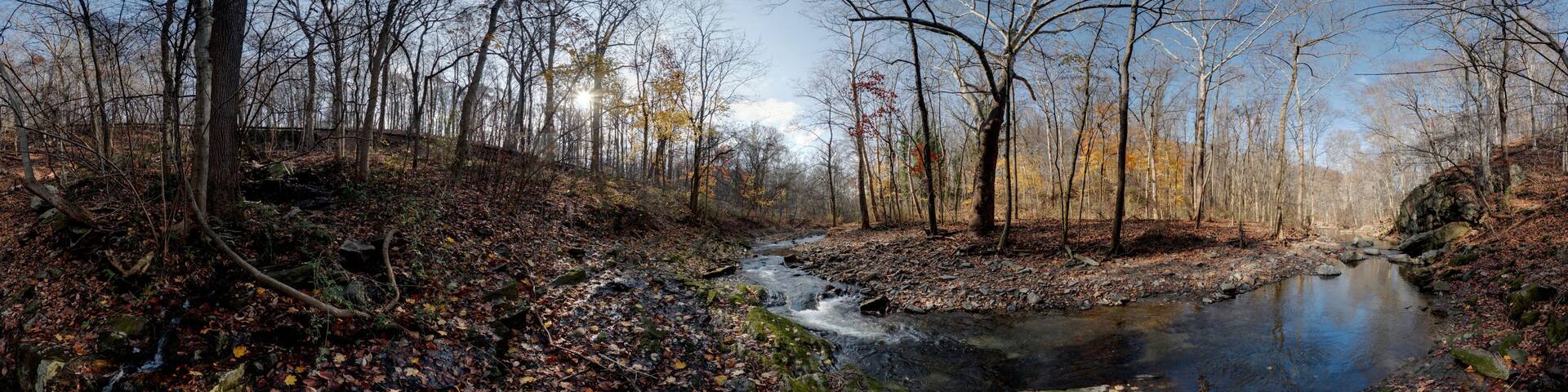 Lower Mill Creek, Gladwyne, Montgomery County, Pennsylvania, United States