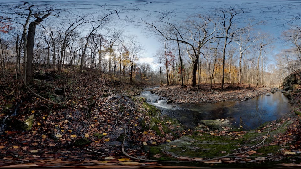 A forested area with a stream and a rocky outcrop.