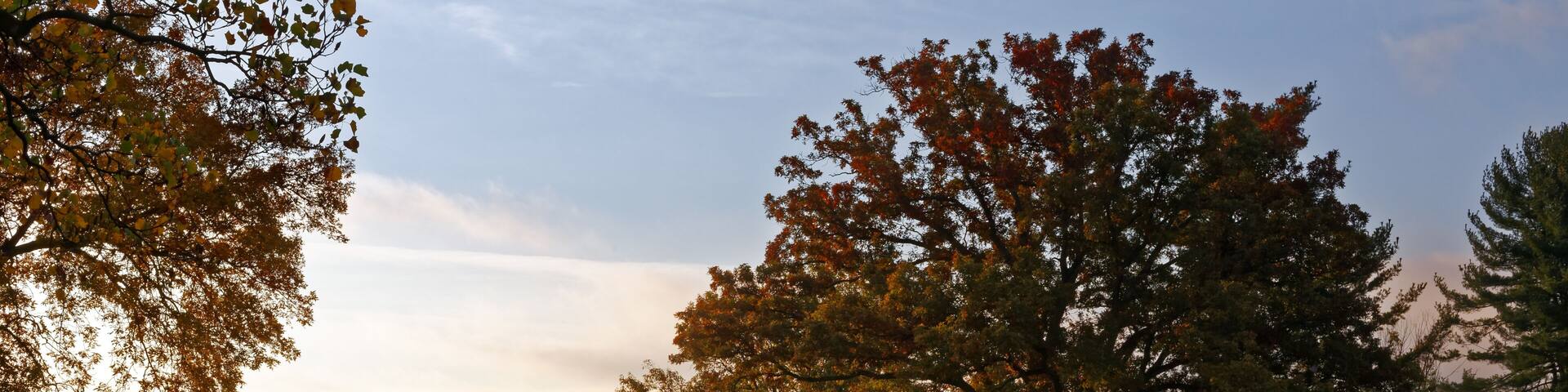 Misty Morning at Valley Forge National Historic Park