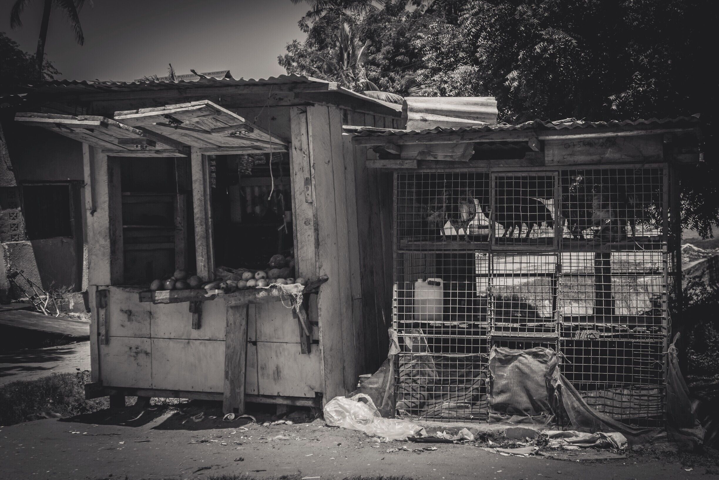 One day in the streets of Dar es Salaam, Tanzania. http://bit.ly/1NWGRe3