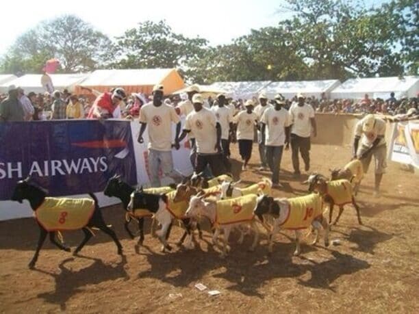 The Goat Races on The Green, Kenyatta Drive. 

Only happens once a year, but is a great day, and is all for Charity. 