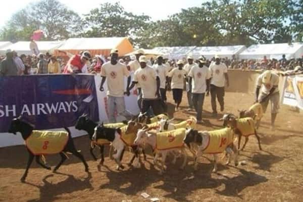 The Goat Races on The Green, Kenyatta Drive.
Only happens once a year, but is a great day, and is all for Charity.