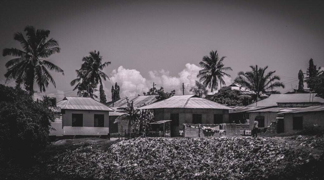 One day in the streets of Dar es Salaam, Tanzania. http://bit.ly/1NWGRe3