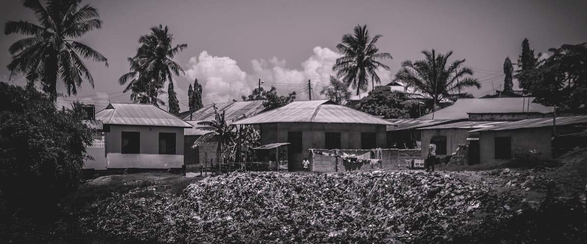 A rural village with houses, palm trees, and a large pile of debris.