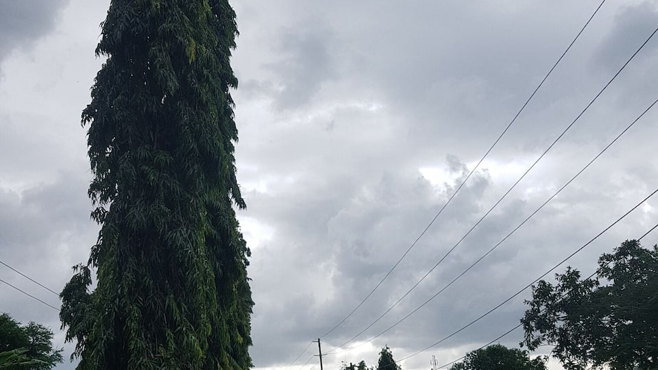 Outside IST Clinic in Dar es salaam, Masaki