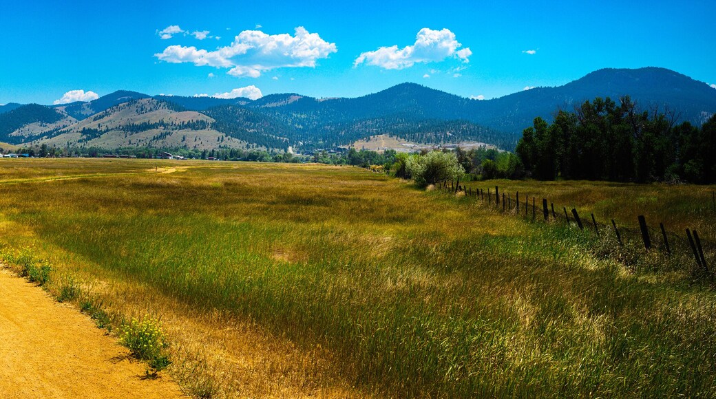 Tranquil rural dirt road curving through the prairie toward Lolo National Forest in Helena, Montana