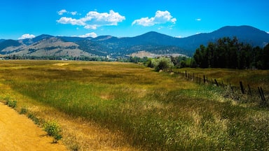 Tranquil rural dirt road curving through the prairie toward Lolo National Forest in Helena, Montana