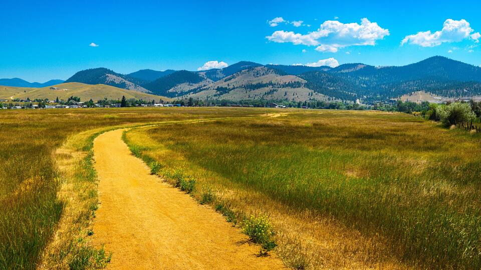 A dirt path winding through a grassy field with mountains in the background.