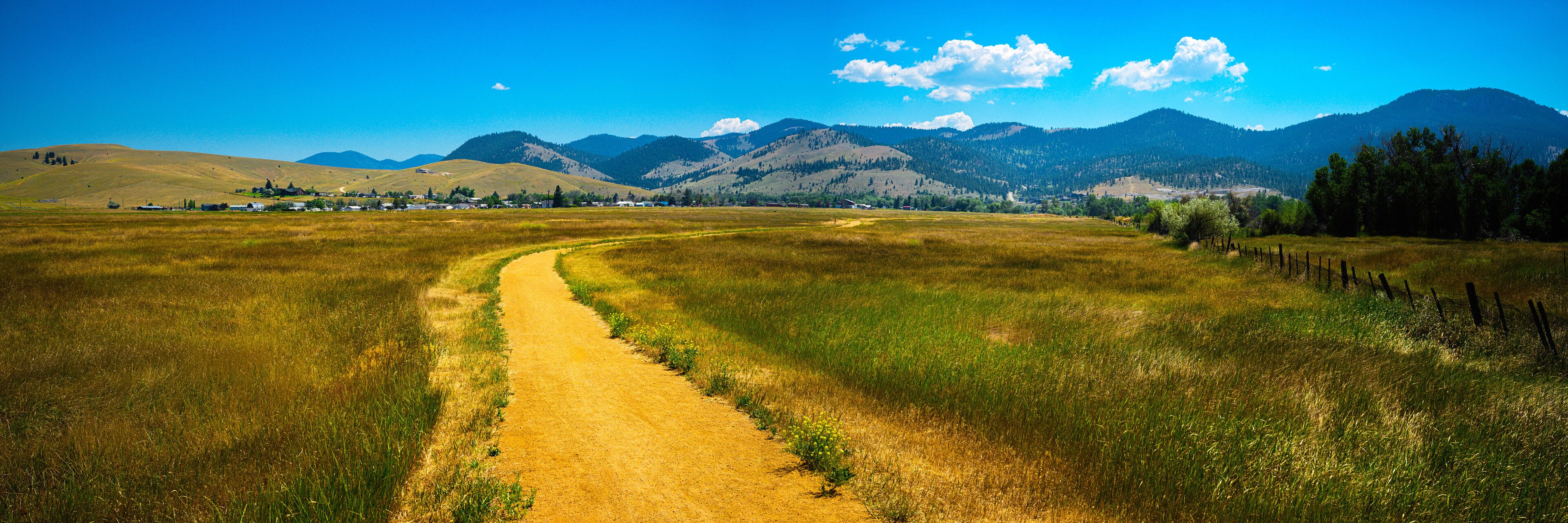 A dirt path winding through a grassy field with mountains in the background.