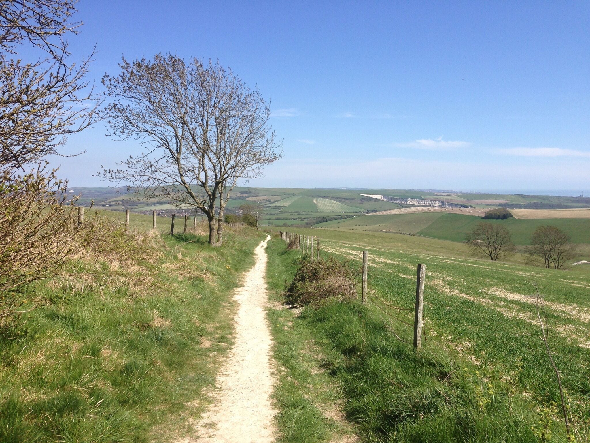 Un sentier de terre serpente à travers un paysage verdoyant, parsemé d’arbres, et offre une vue lointaine sur des collines et des champs vallonnés.