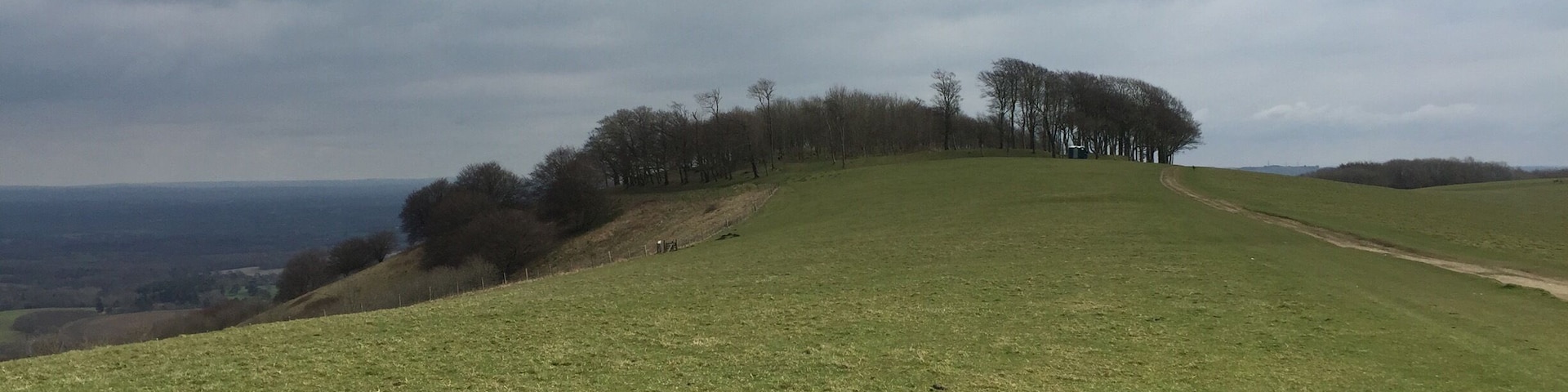 Approach to Chanctonbury ring along the South Downs way