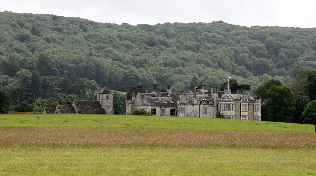 Wiston House and St Mary's Church (grade II* listed)
