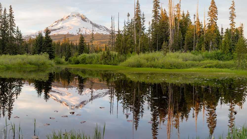 Mount Hood volcano reflected in a small lake near Government Camp village at sunset. Oregon, USA.
Popular tourist and skiing area. Summer season.