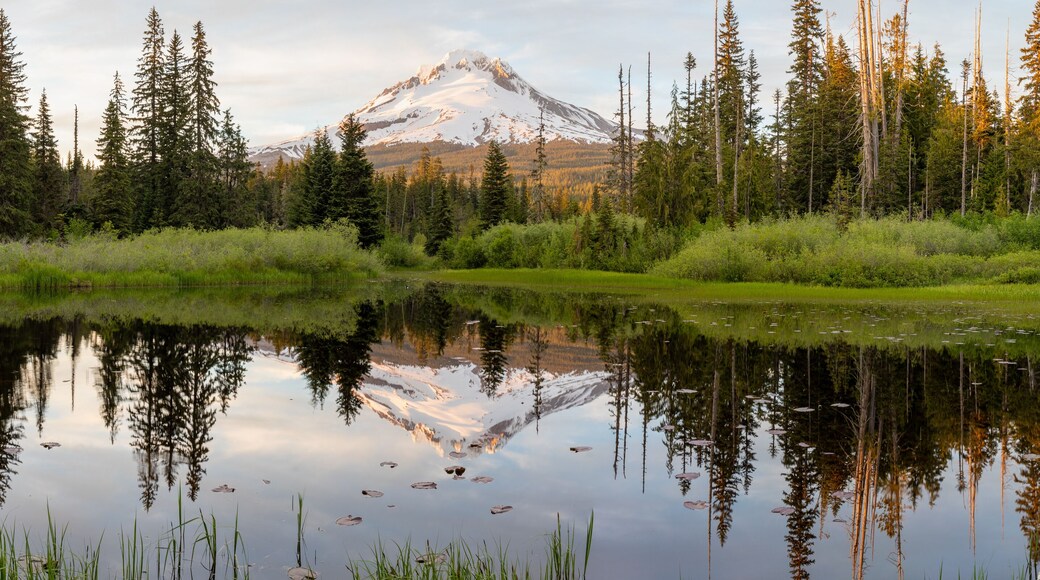 Mount Hood volcano reflected in a small lake near Government Camp village at sunset. Oregon, USA.
Popular tourist and skiing area. Summer season.