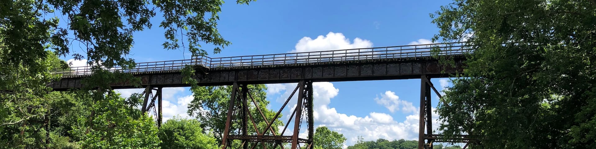A metal bridge with a wooden fence in a green landscape.