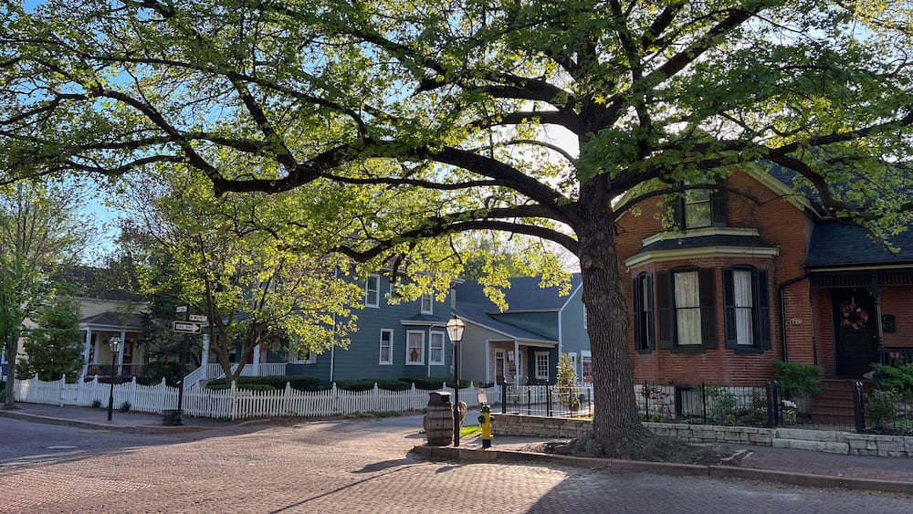 Urban Tree Canopy in historic Saint Charles Missouri