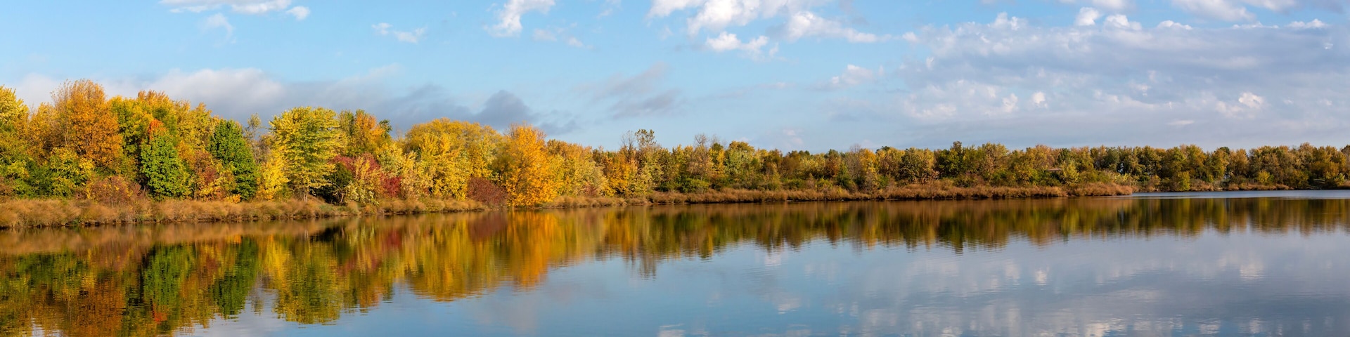 A calm lake reflecting trees with autumn foliage, a clear sky, and a distant shoreline.