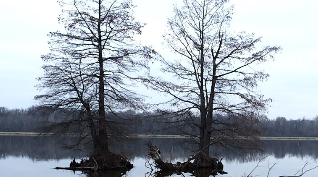 Lake 33 on a cold winter morning.
