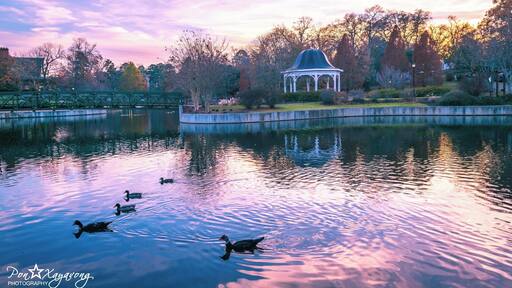 Hidden gem of Spartanburg. Beautiful park with nice trail around the lake to go walking or dog walking and big playground for the kids. good for all ages