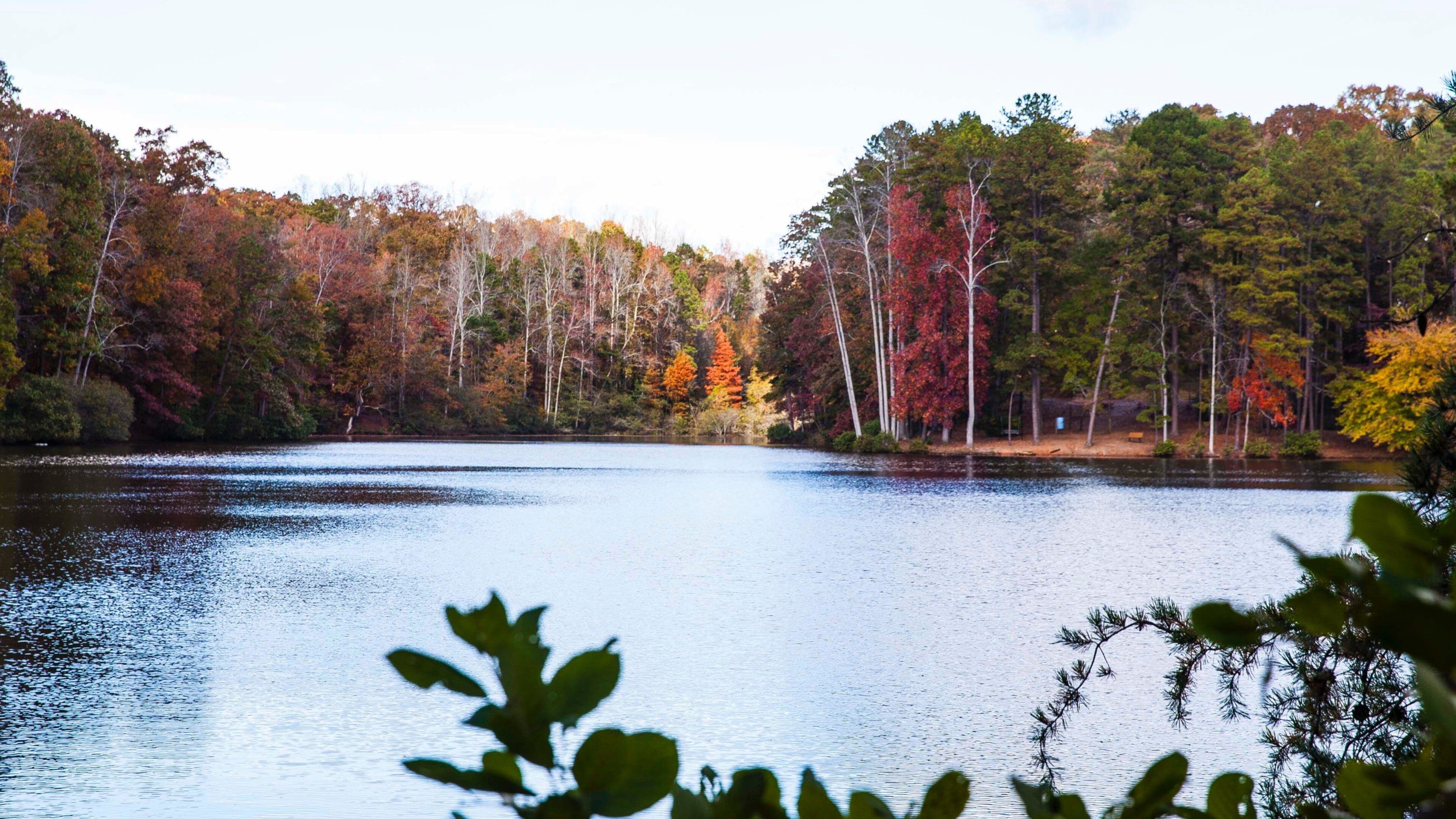Spartanburg featuring fall colors, forest scenes and a lake or waterhole