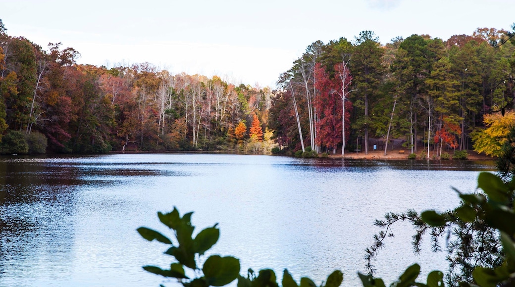 Spartanburg featuring fall colors, forest scenes and a lake or waterhole