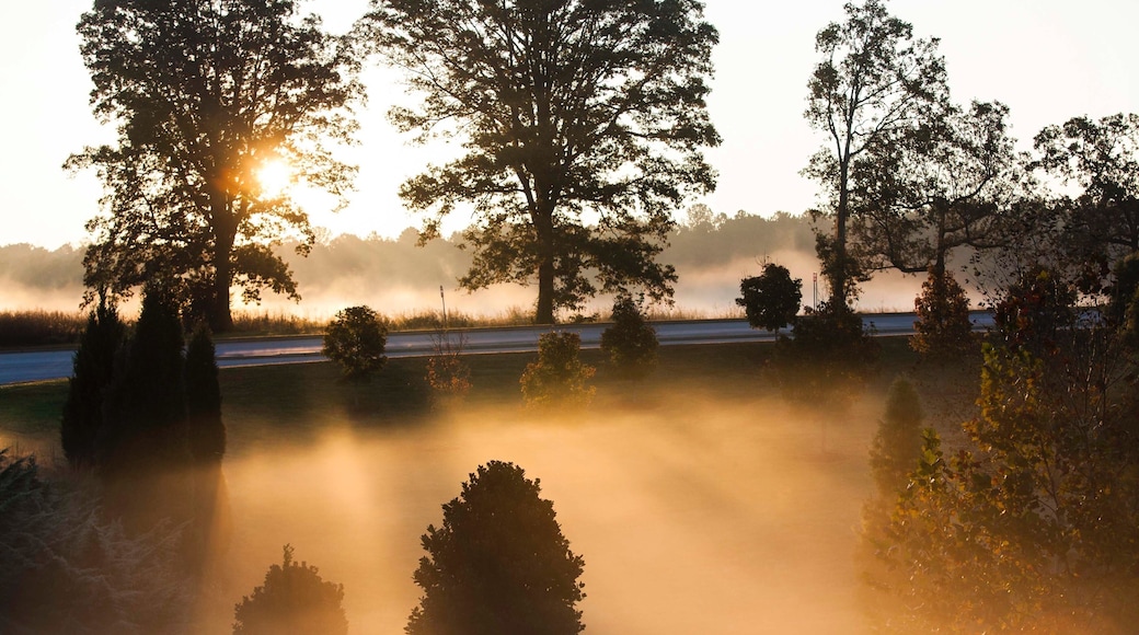 Spartanburg featuring mist or fog, farmland and a sunset